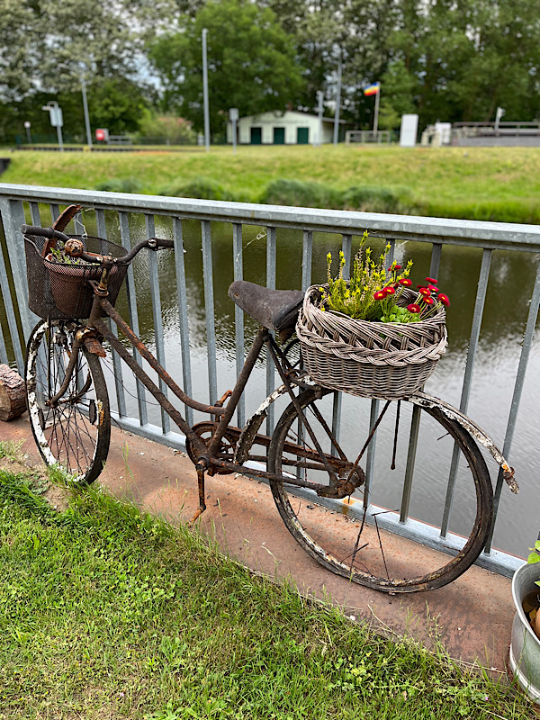 Ein altes Fahrrad, auf dem Gepäckträger ein paar Blumen gepflanzt