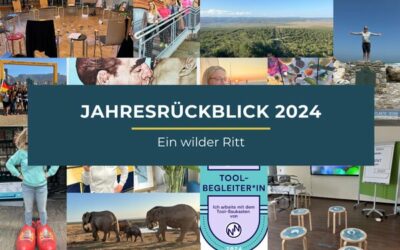 Jahresrückblick 2024 – Ein wilder Ritt